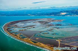 SEO/Birdlife situa el delta de l´Ebre com un dels espais Ramsar en un estat de conservació més pobre